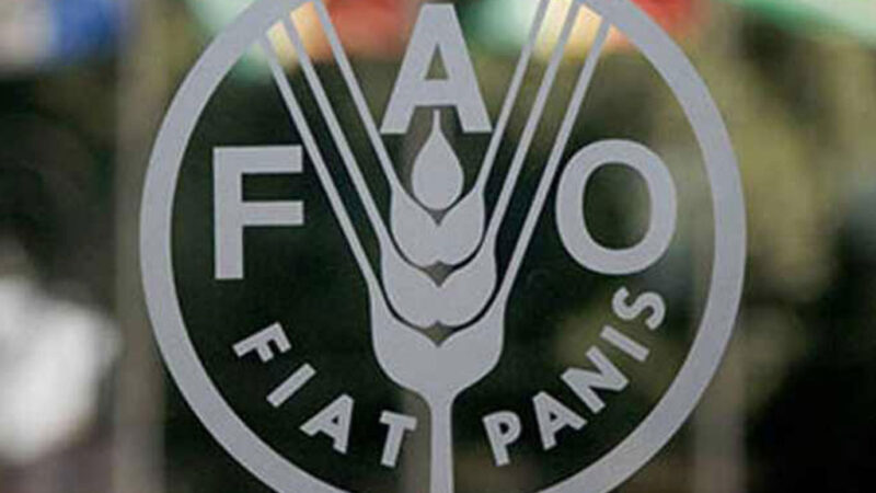 Reitera la FAO su colaboración con Cuba