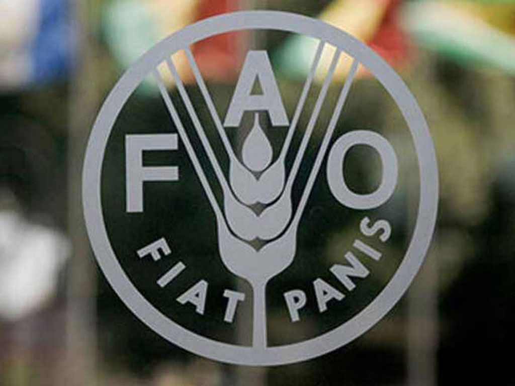 Reitera la FAO su colaboración con Cuba