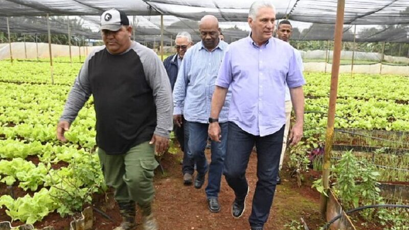 Recorre Díaz-Canel áreas productivas y sociales habaneras