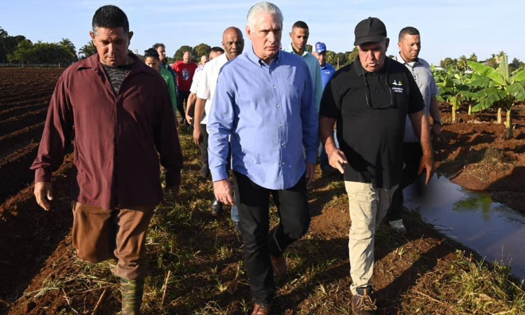 Recorre presidente cubano objetivos económicos en Cienfuegos