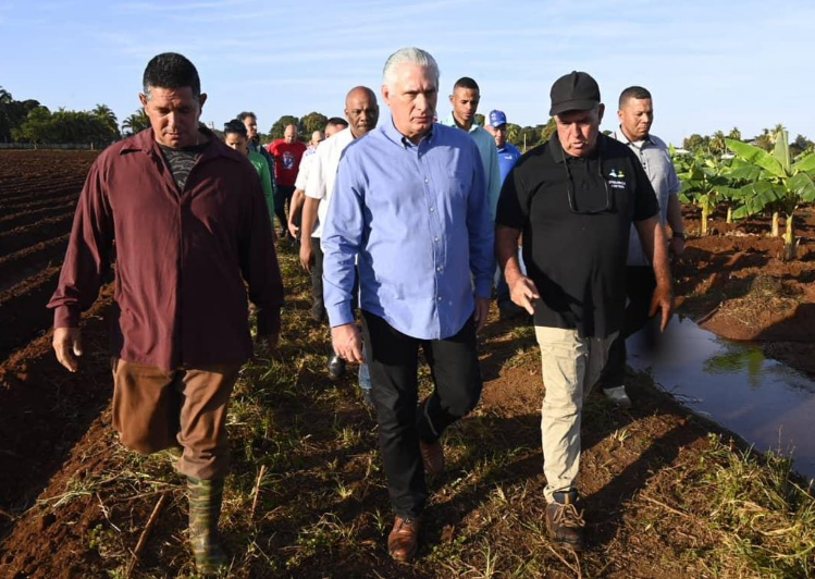 Recorre presidente cubano objetivos económicos en Cienfuegos