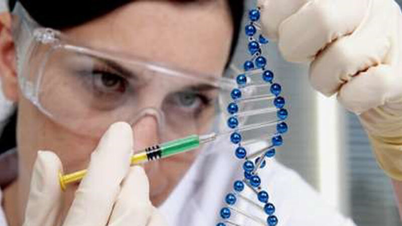 Gotas del saber, Día de la Ciencia Cubana