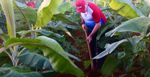 Presidente de Cuba en trabajo voluntario por efeméride histórica