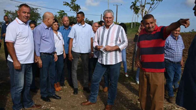 Visita presidente cubano centros productivos de provincia Villa Clara