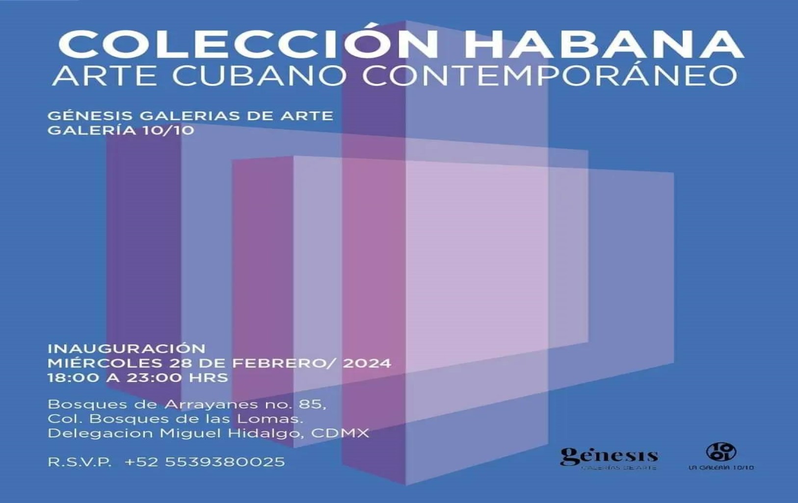 Galería Habana expone en Galería 10/10 de Ciudad México