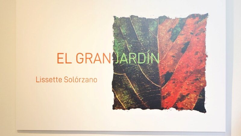 Inauguran exposición de Lissette Solórzano en galería Villa Manuela de la Uneac