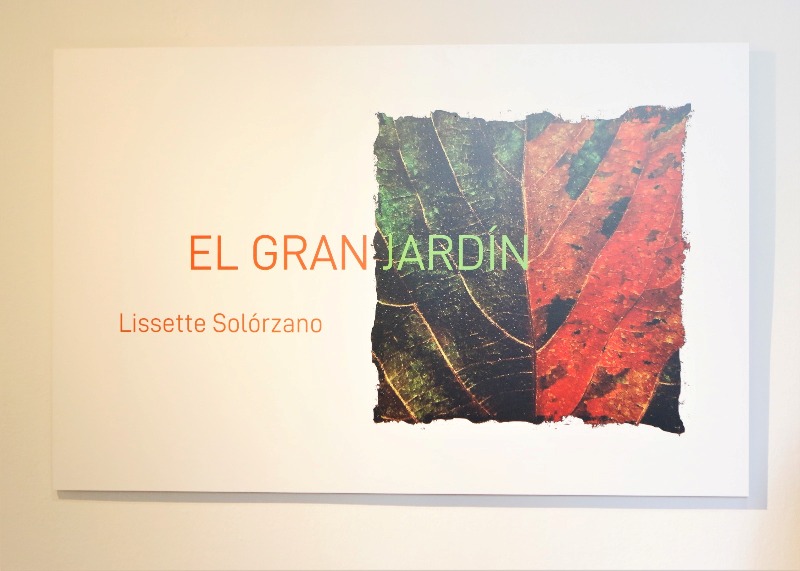 Inauguran exposición de Lissette Solórzano en galería Villa Manuela de la Uneac