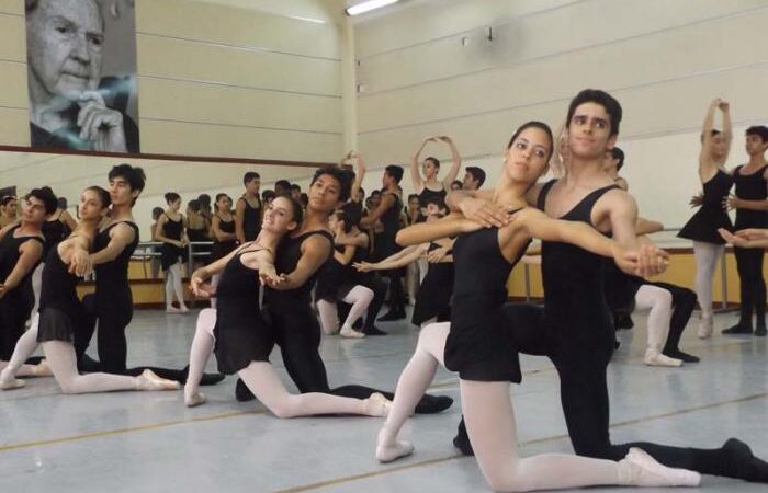 Academias para la enseñanza del Ballet, con dulces frutos