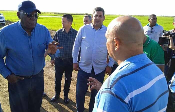 Recorre Valdés Mesa áreas agrícolas de Pinar del Río
