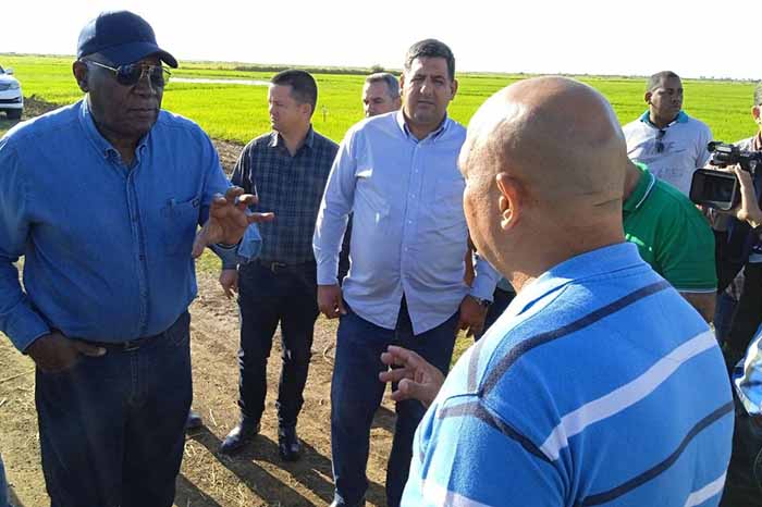 Recorre Valdés Mesa áreas agrícolas de Pinar del Río
