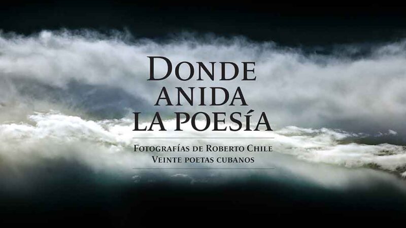 Imagen y poesía anidan tras el lente de Roberto Chile
