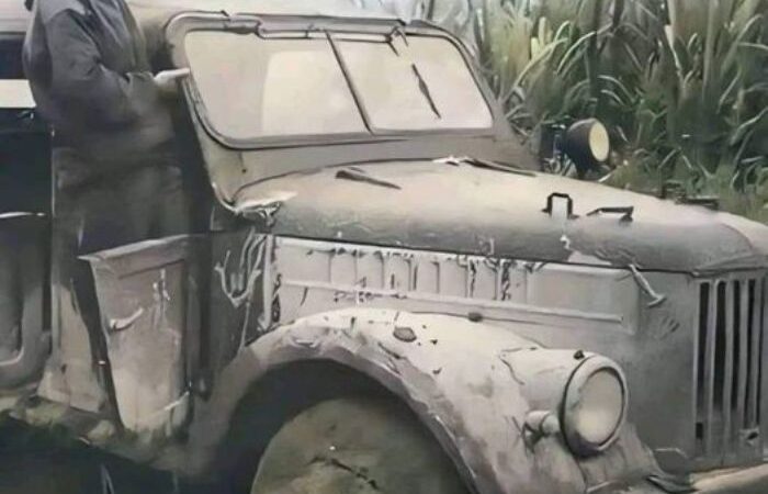 Celia, una flor de exquisita delicadeza 