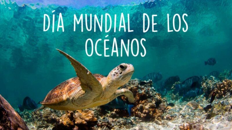 Los océanos, corazón del planeta Tierra