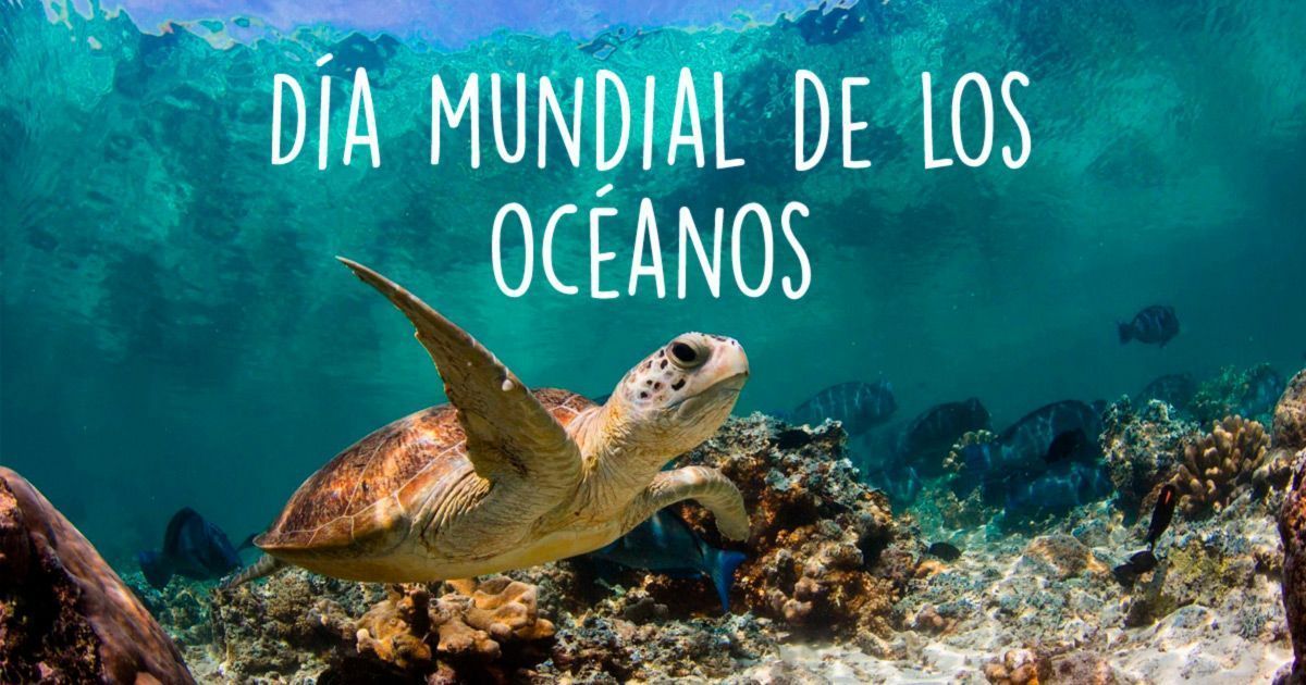 Los océanos, corazón del planeta Tierra