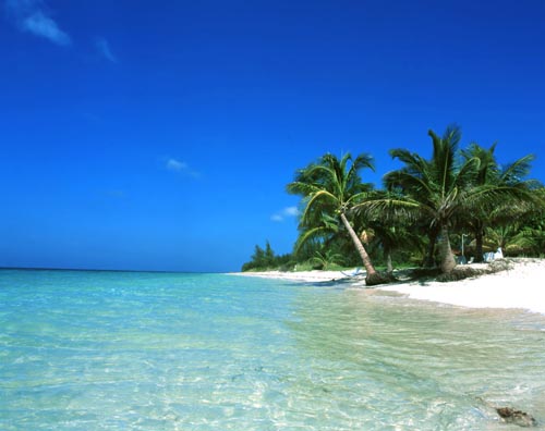 Continúan acciones del plan Tarea Vida en cayería norte de Cuba
