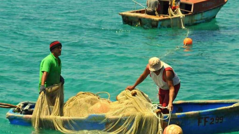 FAO anuncia ayuda para actividad pesquera en Cuba