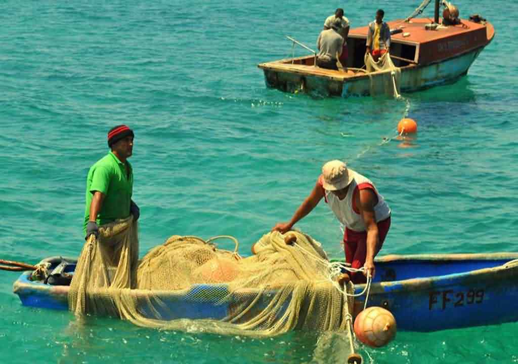 FAO anuncia ayuda para actividad pesquera en Cuba