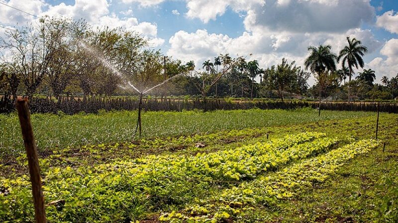 FAO y Unión Europea apoyan riego agrícola en Cuba