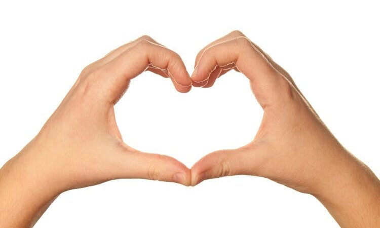 Las manos, diseñadas para amar