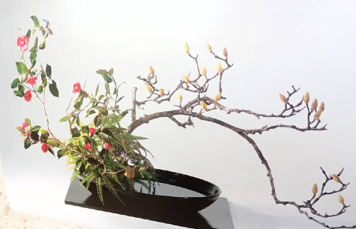 Inauguran exposición de historia y arte japoneses en Nueva Gerona