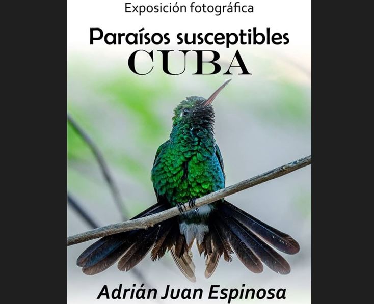 Dedican muestra fotográfica al cuidado en Cuba de sus ecosistemas