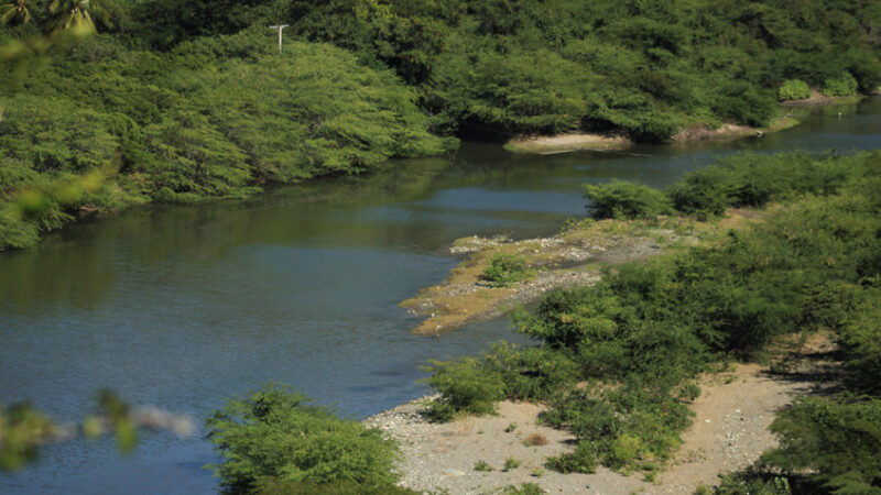 Reserva de Baconao posee 1800 especies vegetales de valor botánico