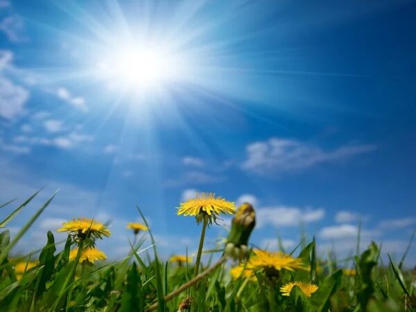 La Magia del agradecimiento, parte VIII