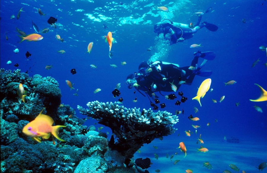 Inauguran este martes el XII Congreso de Ciencias del Mar