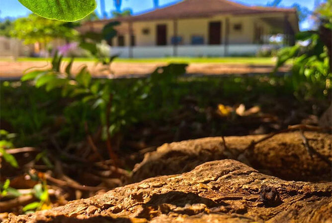 Gotas del saber, Centro de Ingeniería Ambiental y Biodiversidad de Ciego de Ávila
