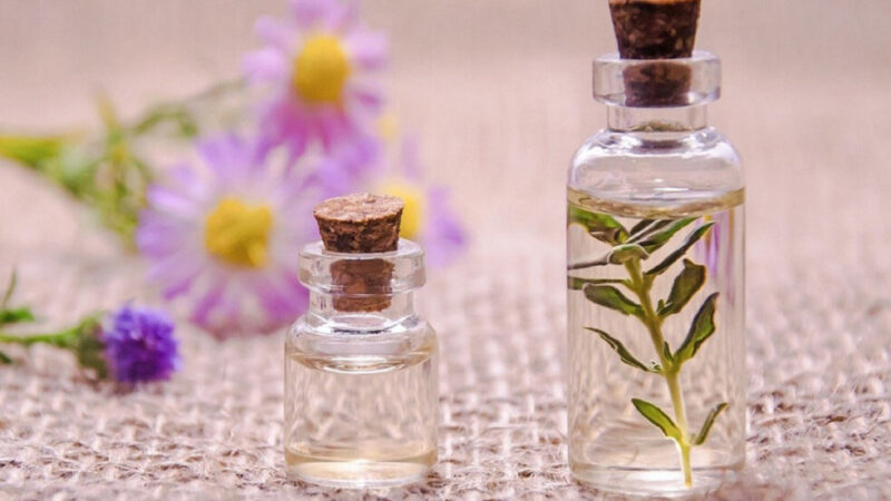 Plantas aromáticas y fragancias en Un secreto para ti