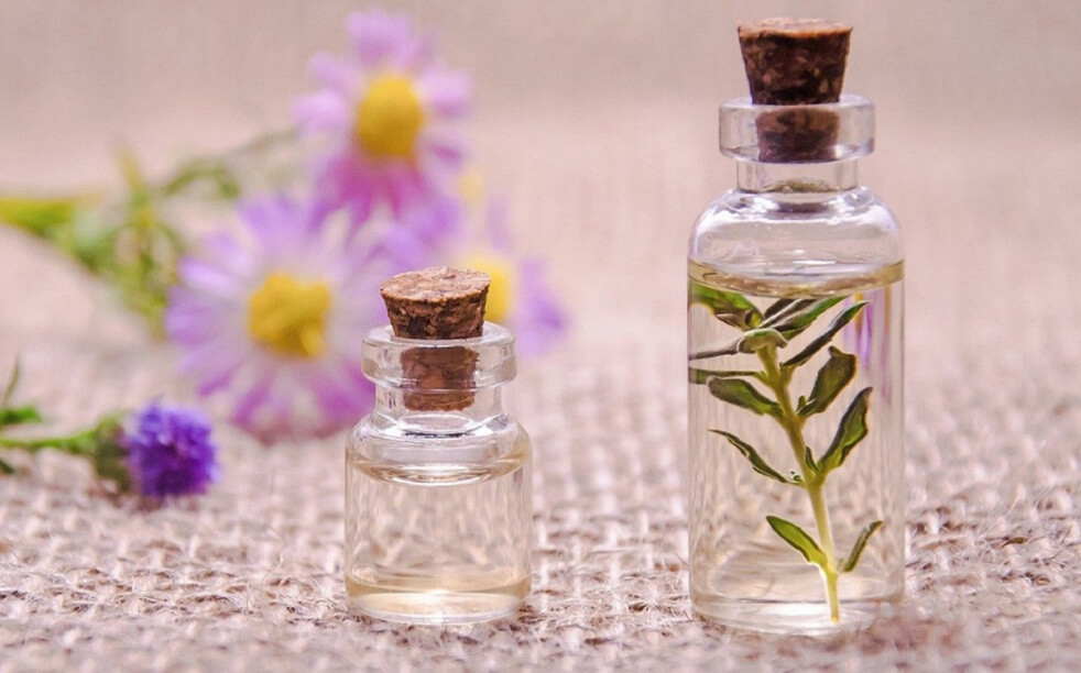Plantas aromáticas y fragancias en Un secreto para ti