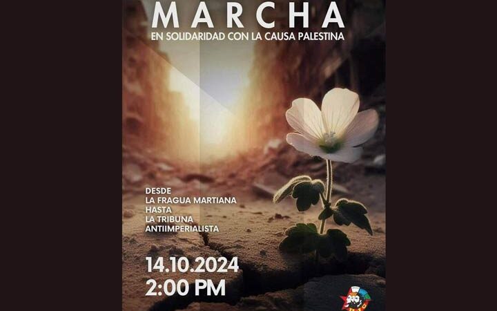 Marcha en La Habana ratificará solidaridad con Palestina