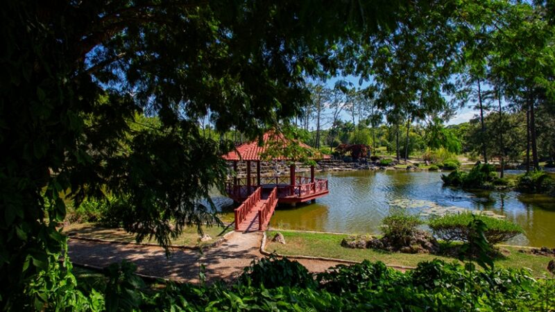 De fiesta el Jardín Japonés del Botánico Nacional