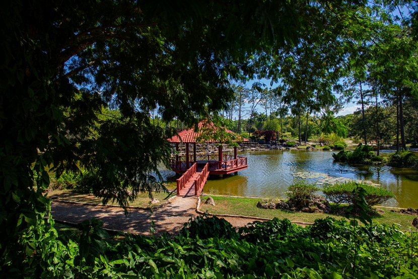 De fiesta el Jardín Japonés del Botánico Nacional