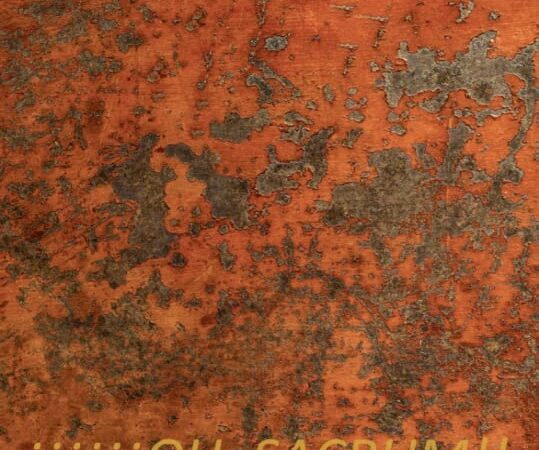 Museo Nacional de Cerámica Contemporánea Cubana inaugura muestra personal de Lázaro Navarrete