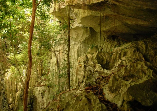 Gotas del saber, la cueva de Rosa la bayamesa en Camagüey