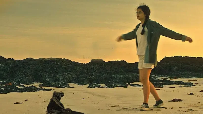 Cineastas latinoamericanos debaten sobre acceso a fondos en 45º Festival de La Habana