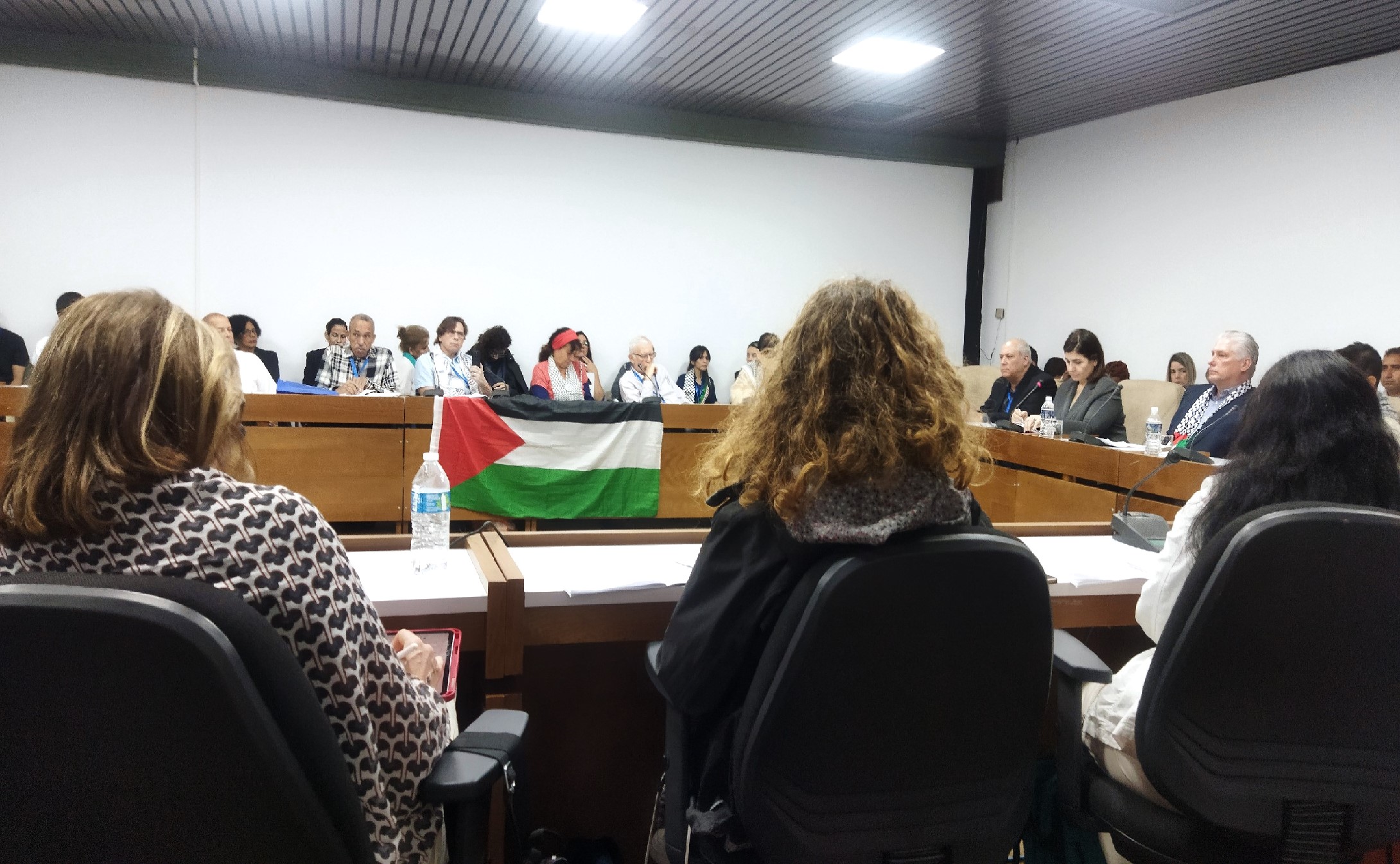 Presidente Diaz-Canel reitera el apoyo del pueblo cubano a Palestina