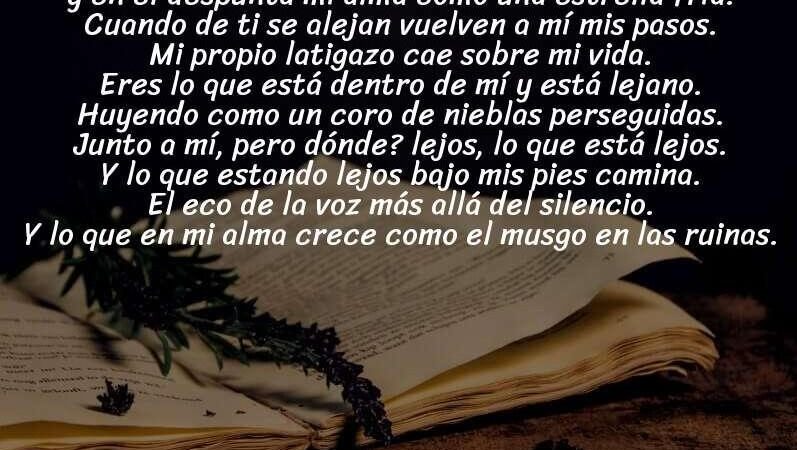 Pablo Neruda y el inquietante sentimiento de pertenencia