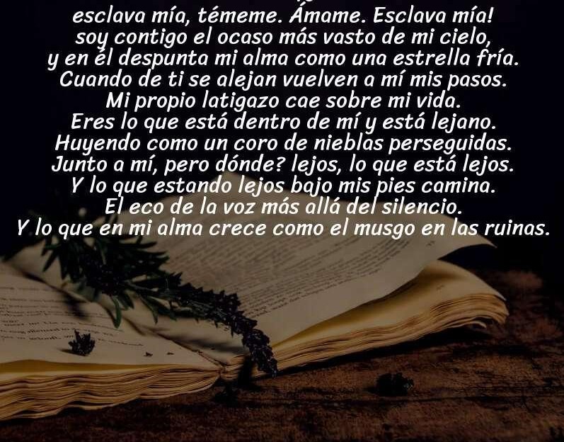 Pablo Neruda y el inquietante sentimiento de pertenencia