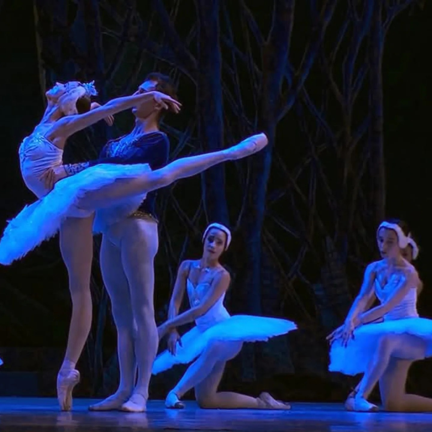 Transmite Canal Educativo funciones del 28º Festival Internacional de Ballet