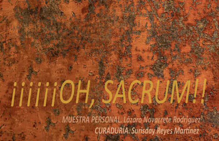 Abierta al público en La Habana muestra del artista Lázaro Navarrete