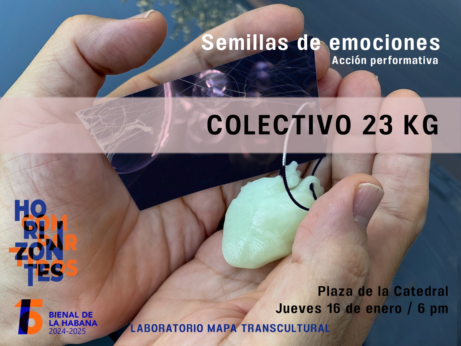 Performance Semillas de emociones en la 15ª Bienal de La Habana este jueves