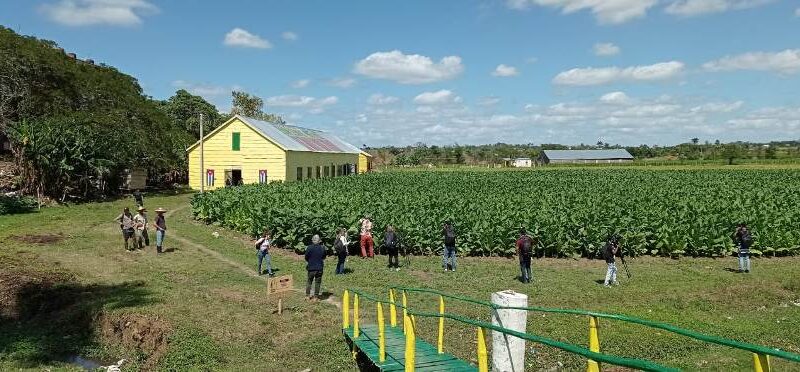 Un viaje a los orígenes del Habano