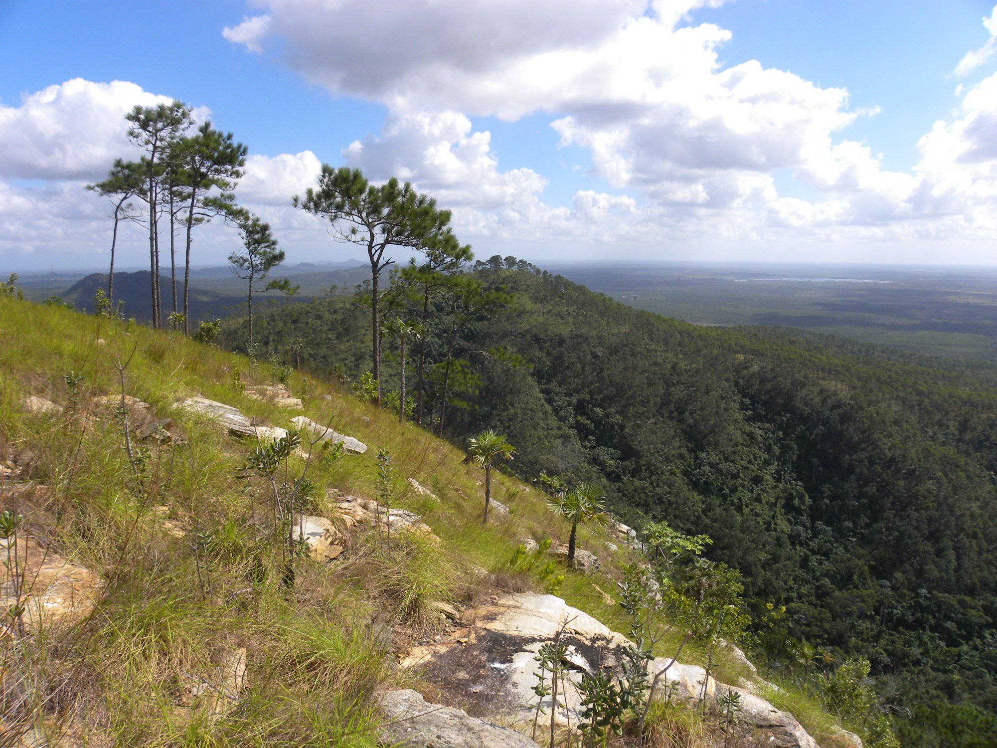 La Sierra de la Cañada en la Isla de la Juventud