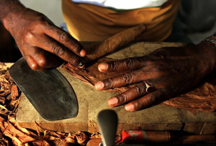 La cultura en el Festival del Habano