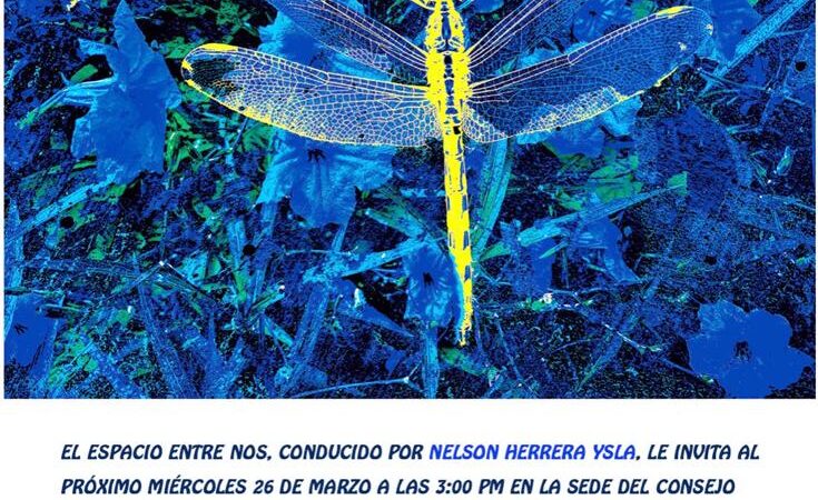 Fotógrafa Lissette Solórzano este miércoles Entre Nos