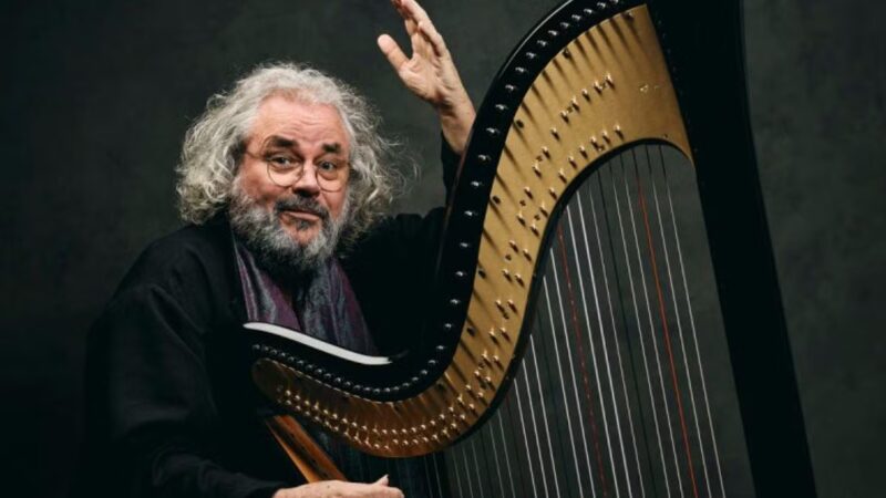 Media hora con su intérprete, Andreas Vollenweider