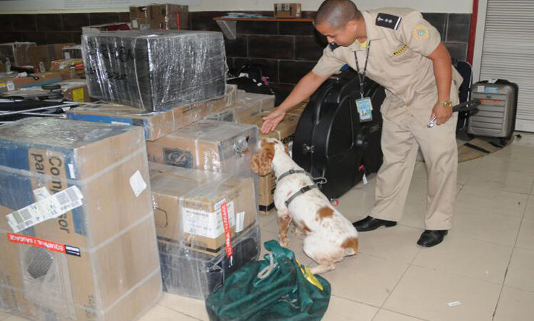 Cuba incrementa el combate contra las drogas