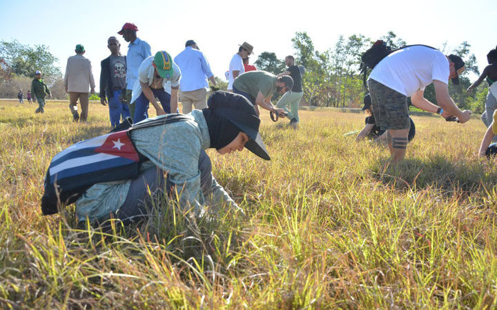 Festival Isla Verde 2025 ratifica su vocación ambientalista